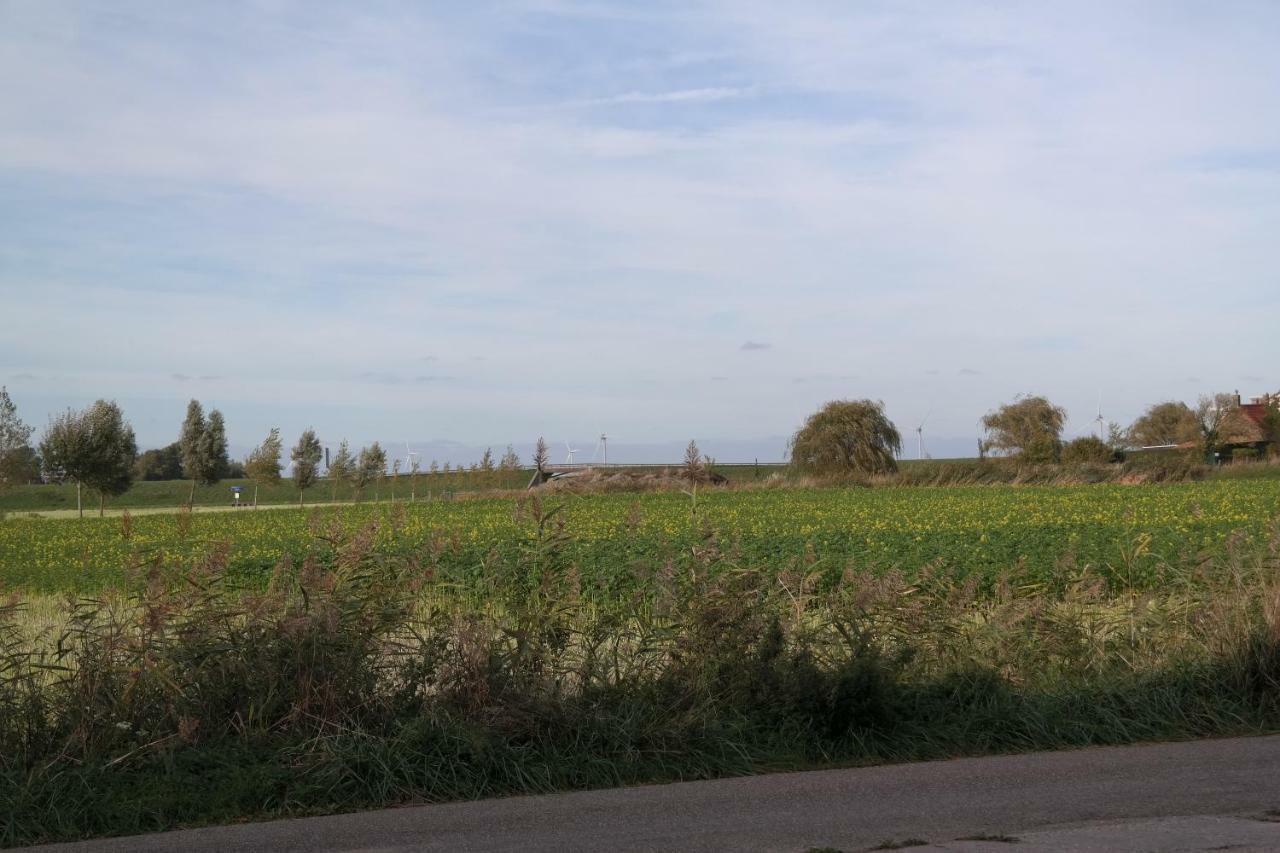 De Goede Verwachting Kamperland Eksteriør bilde